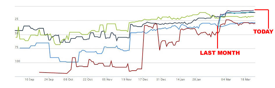 Rank tracking chart showing keyword positions improving from around position 75 to top 25 over six months