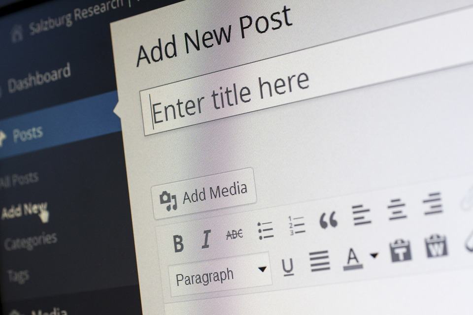 Close-up of the WordPress Add New Post editor screen showing the title field, Add Media button and text toolbar