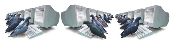 Rows of pigeons perched in front of CRT computer monitors, humorous image of birds as internet users
