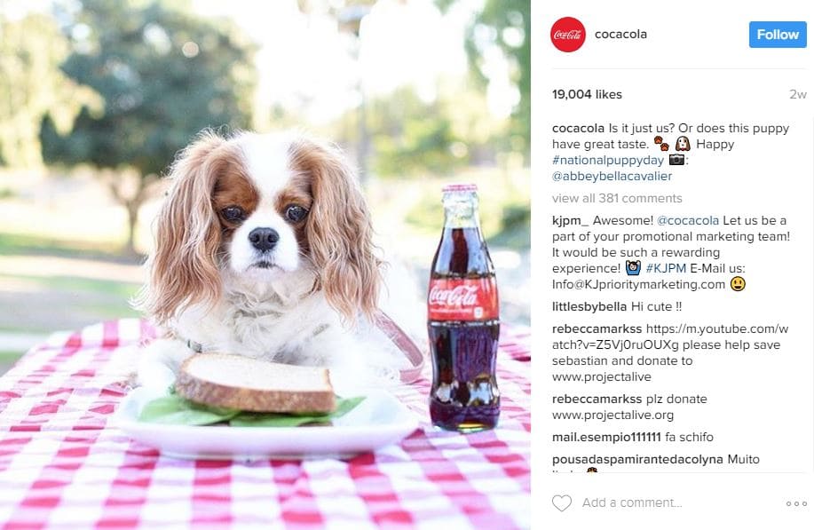 Coca-Cola Instagram post featuring a Cavalier King Charles Spaniel at a picnic table, used to illustrate social media marketing for start-ups